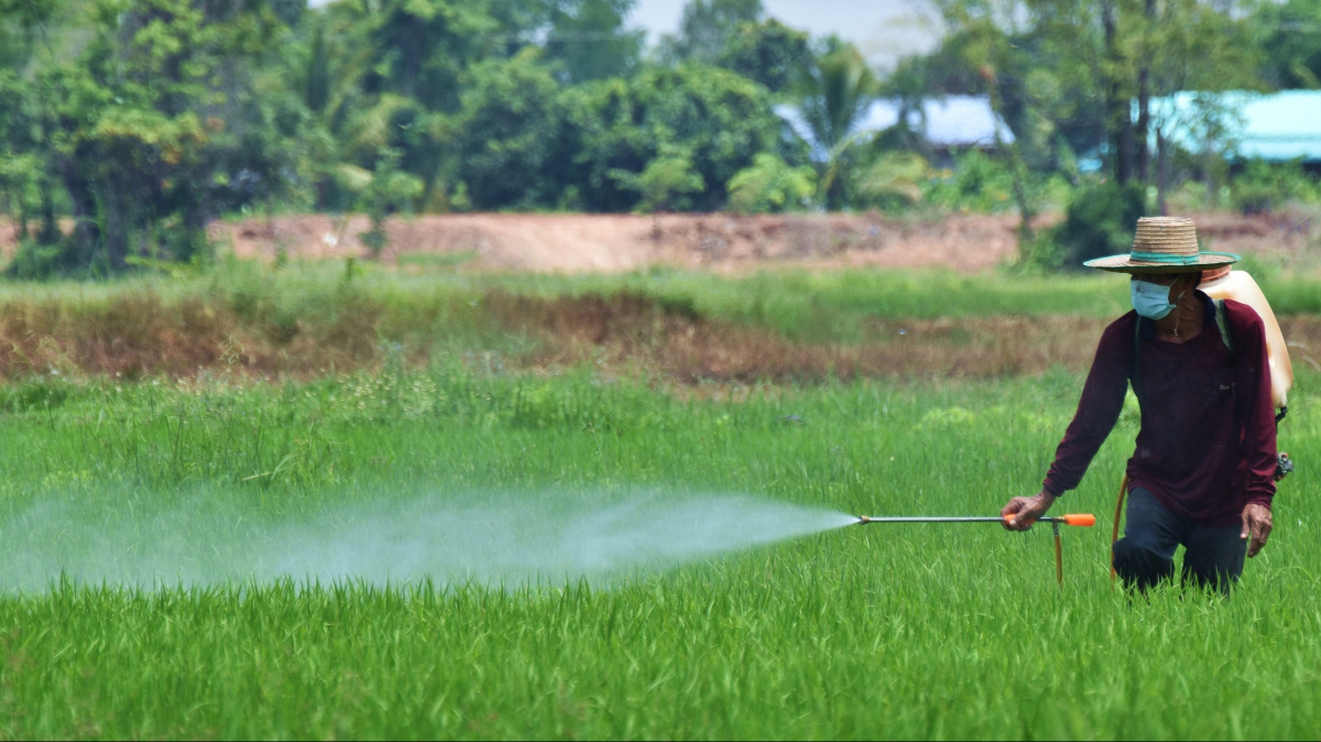 Pesticidy v potravinách zvyšují riziko cukrovky