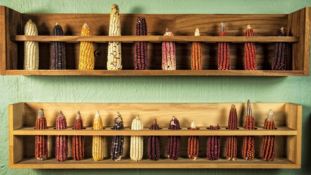 Trump hlásí triumf, otázek ale zůstává víc než dost