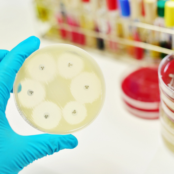Nové kombinace antibiotik jsou v boji s rezistencí překvapivě účinné