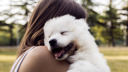 Umí zvířata milovat?