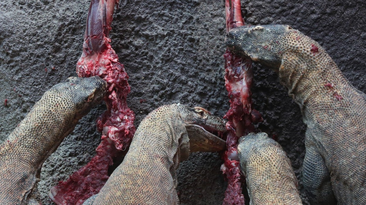 Jedy v rukou vědy zachraňují životy