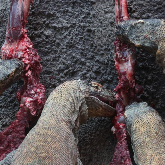 Jedy v rukou vědy zachraňují životy