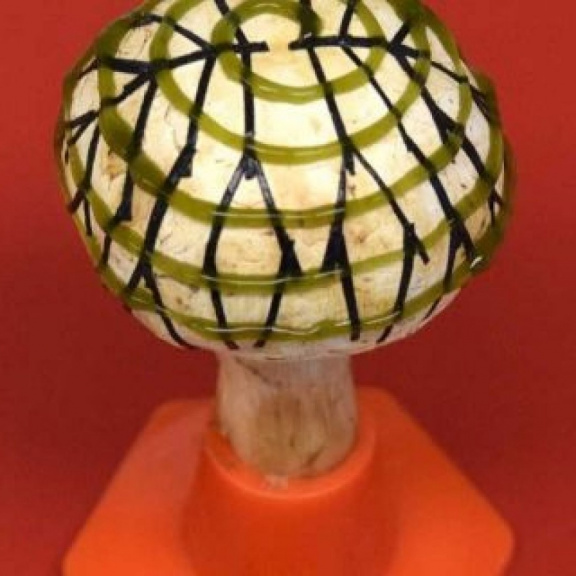 Bionické houby dokážou vyrobit elektřinu