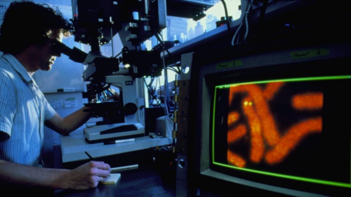 Nová DNA knihovna zrychlí lékařskou diagnózu