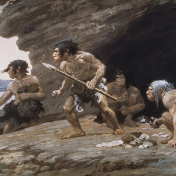 Kořeny života i odhalení kolem neandrtálců: Pamatujete si rok 2018 v evoluci a archeologii?
