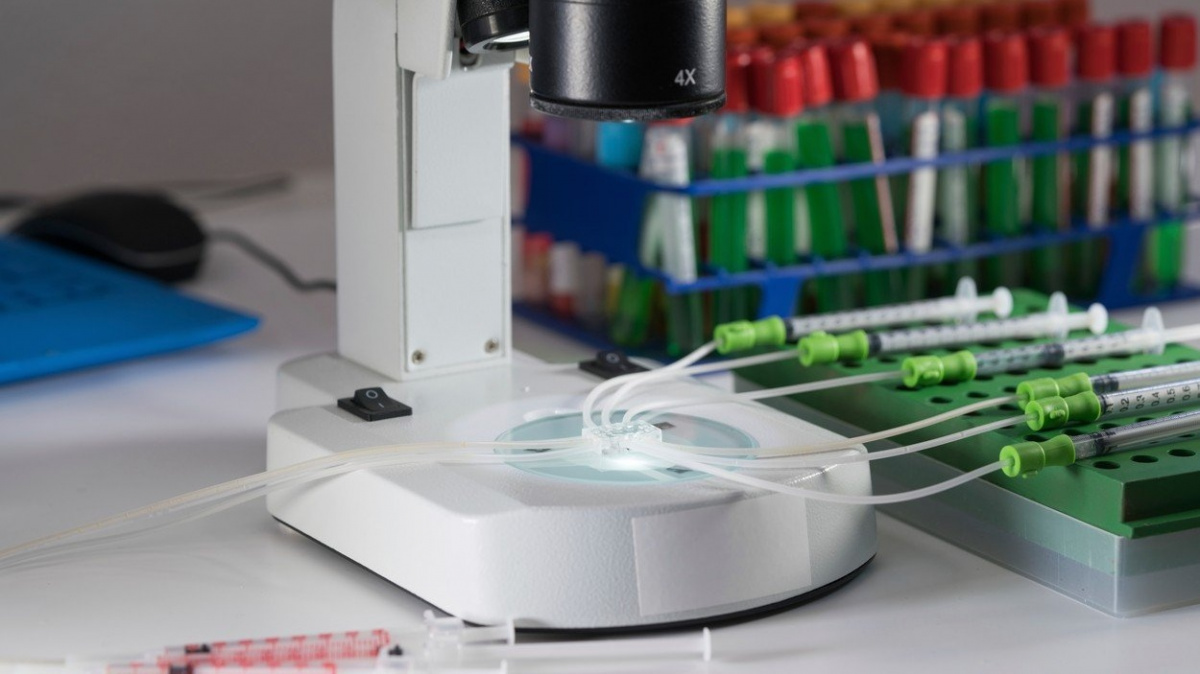 První 'GMO děti' i protirakovinné terapie: Pamatujete si rok 2018 v medicíně?