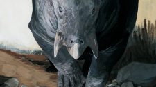 Lisowicia bojani, sloni triasu