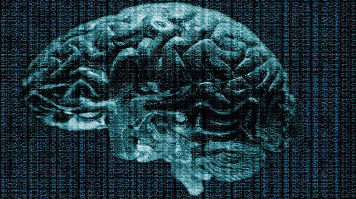 Nový sken mozku umí rozeznat jednotlivá slova lidské reči