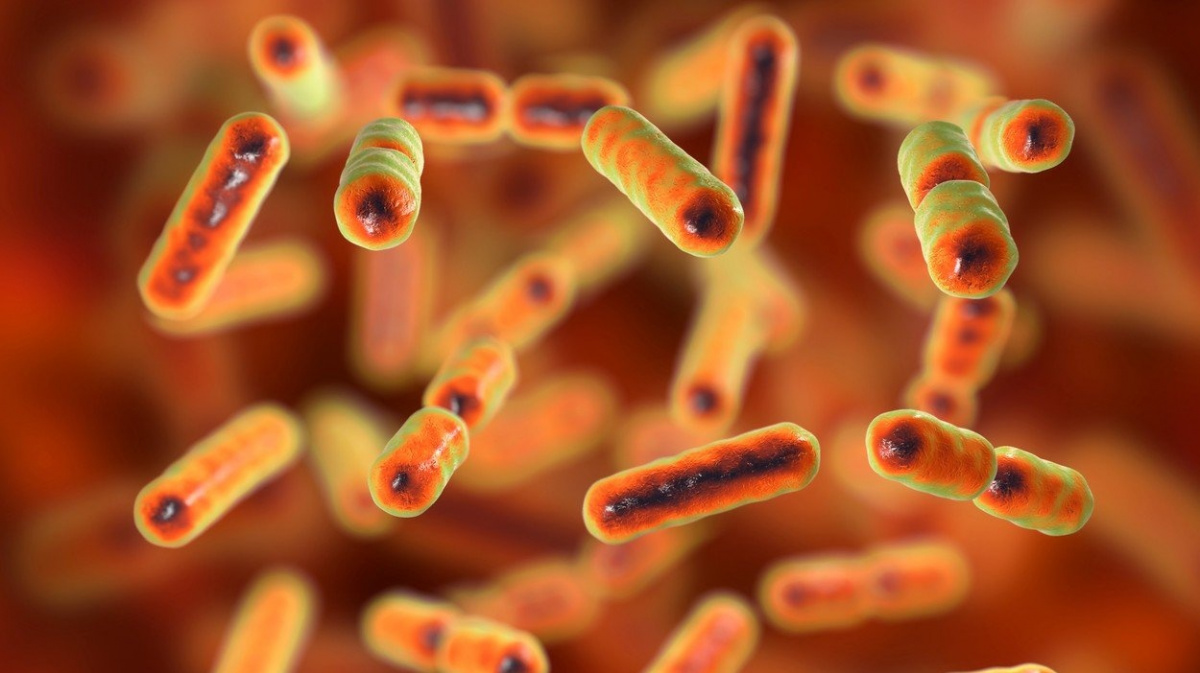 Symbiotické bakterie ve střevech ovlivňují deprese, nálady i vnímání bolesti