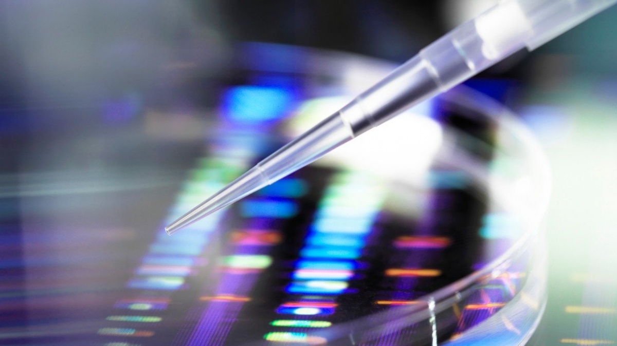 Vědci poprvé sestavili genom bakterie zcela od nuly