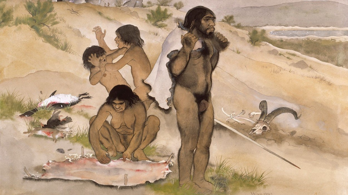 Neandrtálce mohla vyhubit i zvyšující se neplodnost, ukázala studie