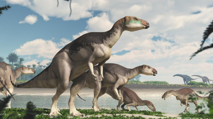Pozůstatky nově objeveného dinosaura se našly v opálu