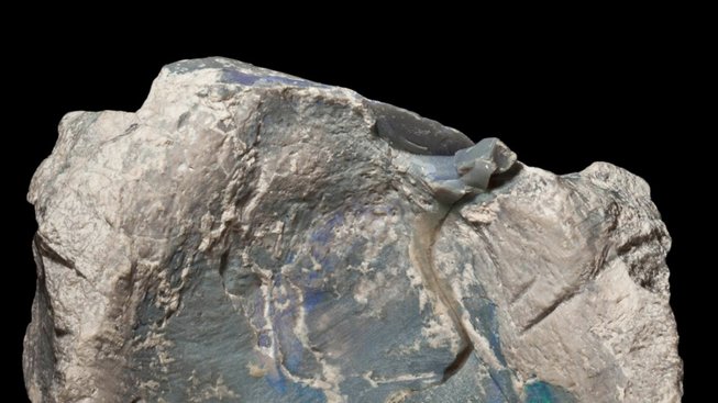 Dinosauří obratel zachovaný v opálu