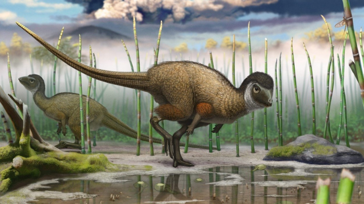 Dinosauři měli peří 100 milionů let před ptáky