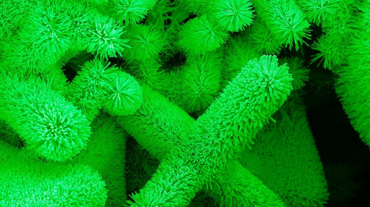 Nanosondy mohou zlepšit ovládací rozhraní pro kontrolu počítačů