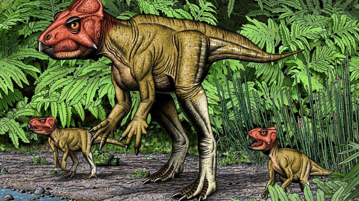 Nově objevený čínský dinosaurus chodil po dvou