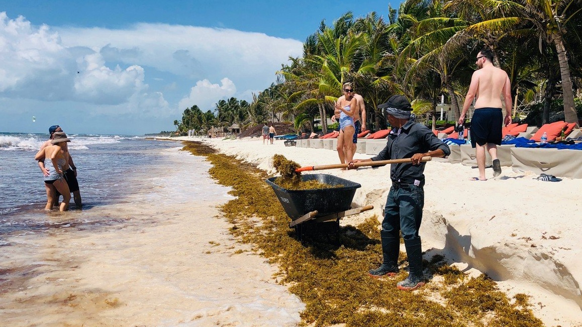 Gigantický shluk řas se vznáší v Atlantiku