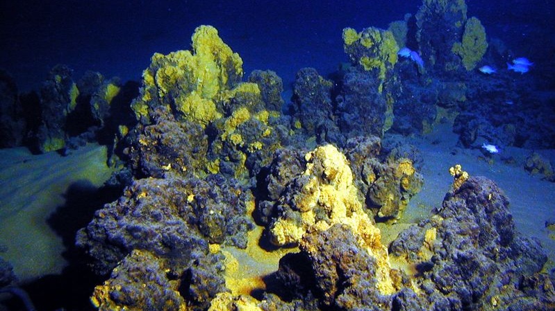 Přepíšeme učebnice biologie?