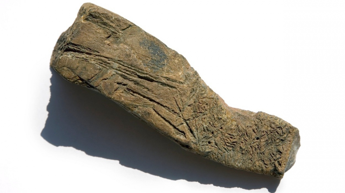 Kapka mořské vody přepíše učebnice o historii Země