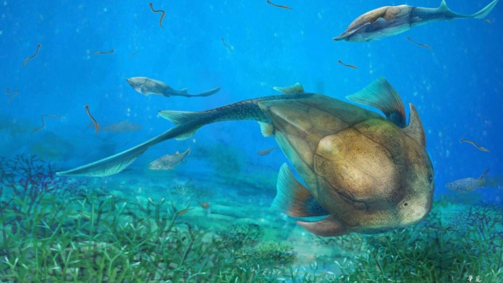 Velké prehistorické vymírání způsobil nedostatek kyslíku