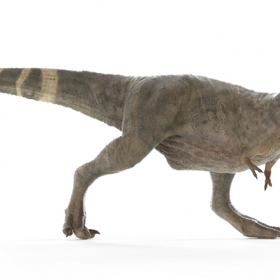 Tyrannosaurus rex se zahříval dutinami v lebce