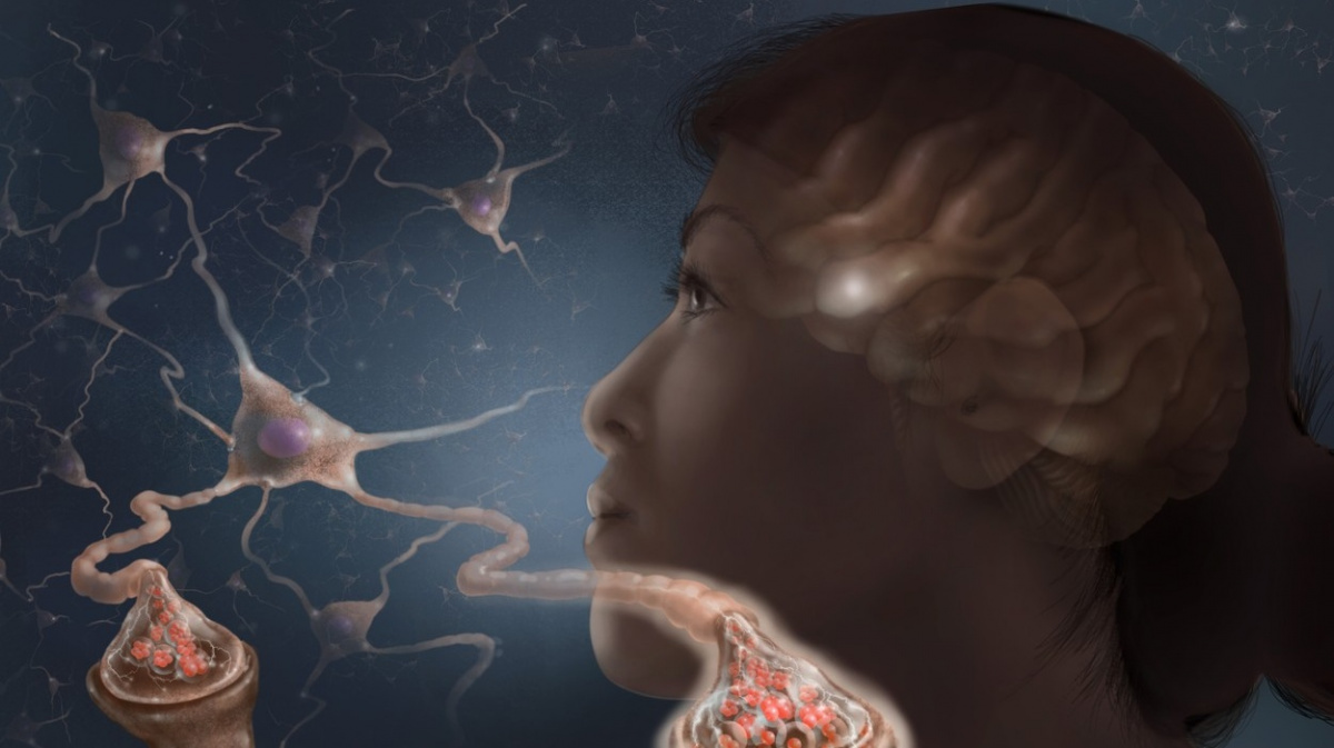 Lidský mozek je soukromý vesmír o jedenácti rozměrech