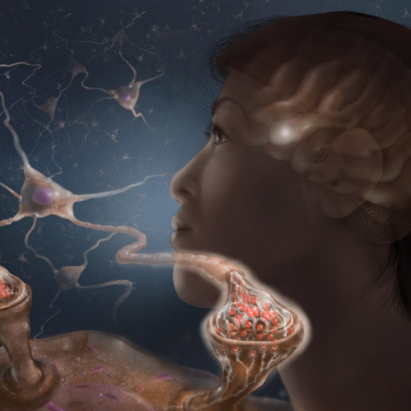 Lidský mozek je soukromý vesmír o jedenácti rozměrech