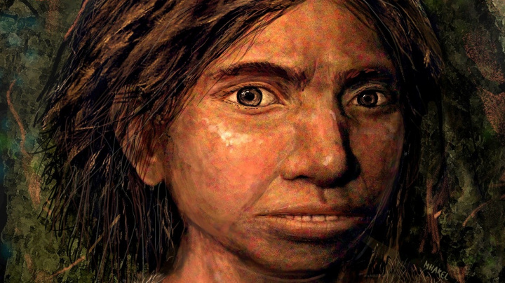 Ani lidé, ani neandertálci. Jak vypadali tajemní denisované?