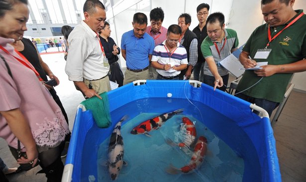 profimedia-0207844101carp2