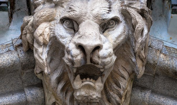 profimedia-0370135623lionevil