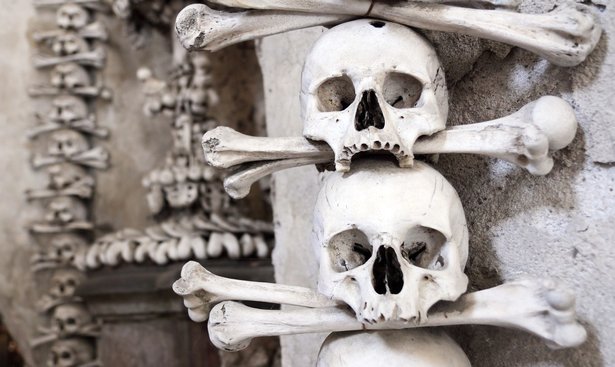 profimedia-0335836187skulls