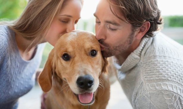 profimedia-0158324649doglove