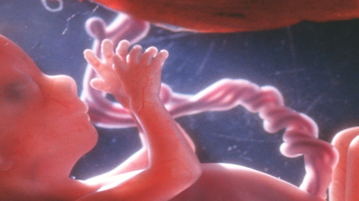 Dítě v děloze vidí a slyší víc, než jsme předpokládali