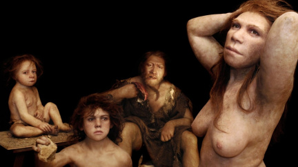 Neandertálce likvidoval incest