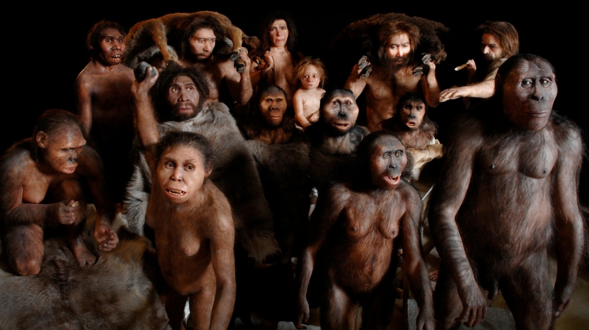 Náš předek sám sebe ochočil. A ejhle, vznikl z něj člověk