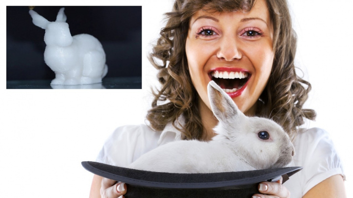 Králík z klobouku a králík z plastu: Oba mají své DNA!