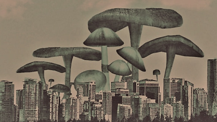 Lidé budou žít v domech z gigantických hub