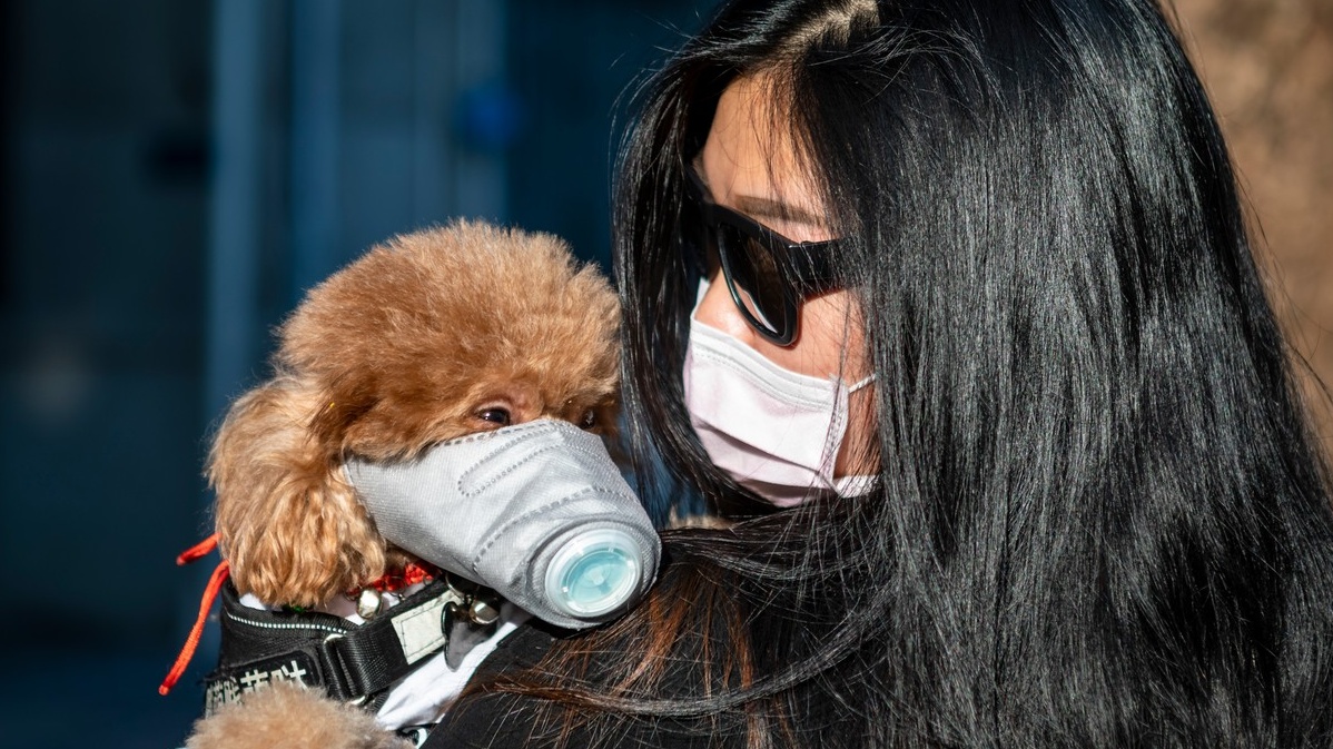 Vakcíny proti koronaviru jsou na světě, ale...