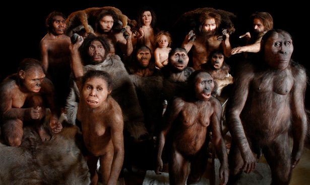 profimedia-0147022429 (1) ancestors