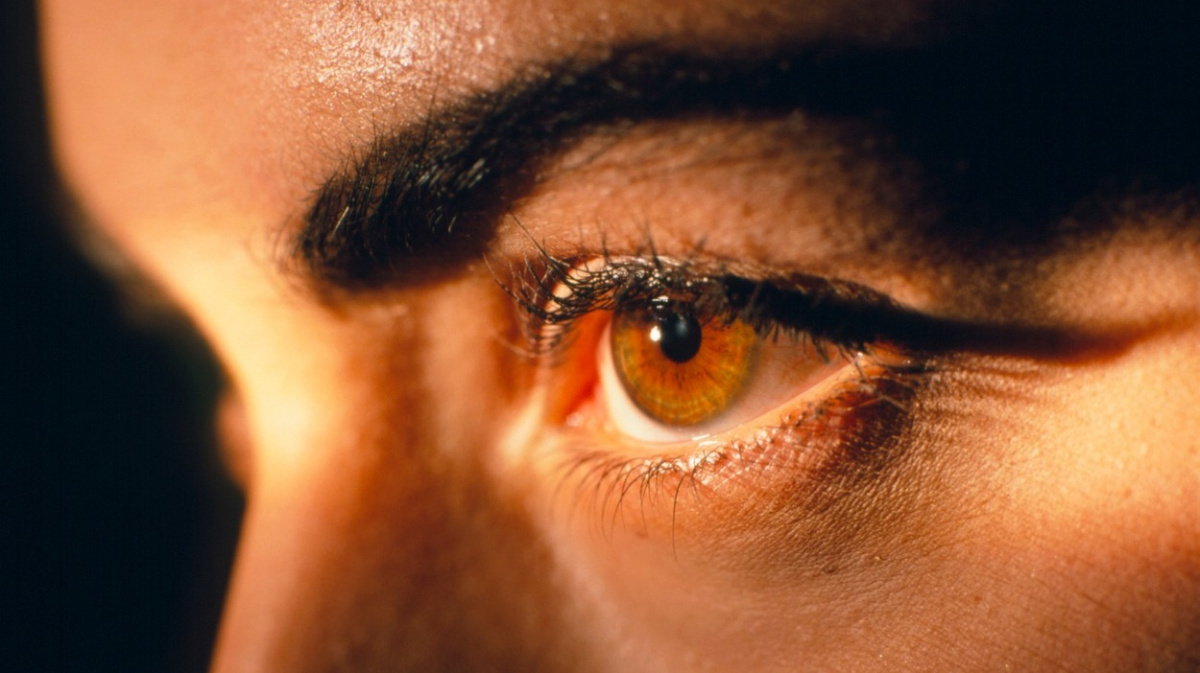 Lidé měli původně hnědé oči, modroocí vznikli až mutací