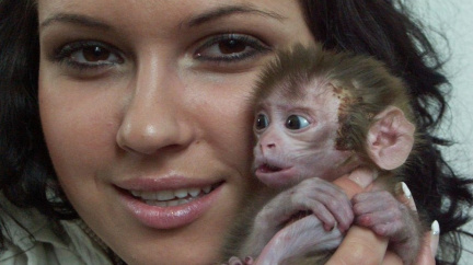 Lidská řeč se začala rodit před 25 miliony let. Prozradil to makak