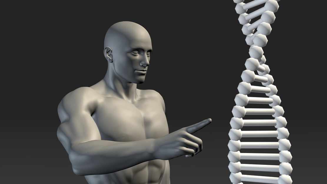 Genová terapie může skoncovat s obezitou bez cvičení a diet