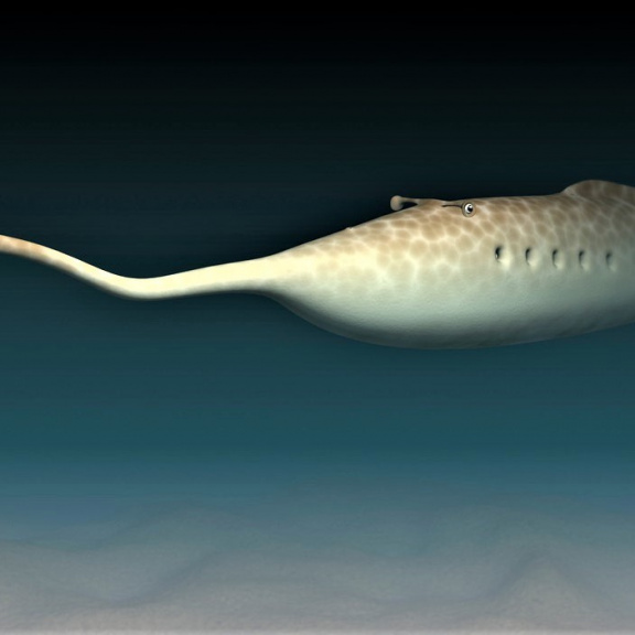 Prehistorické monstrum bylo vzdáleným příbuzným člověka