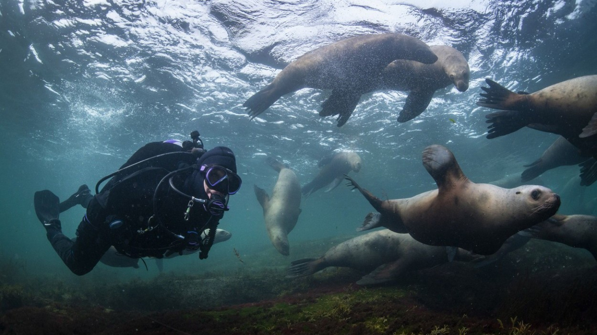 Živočišné druhy se stěhují k pólům. Budou je lidé následovat?