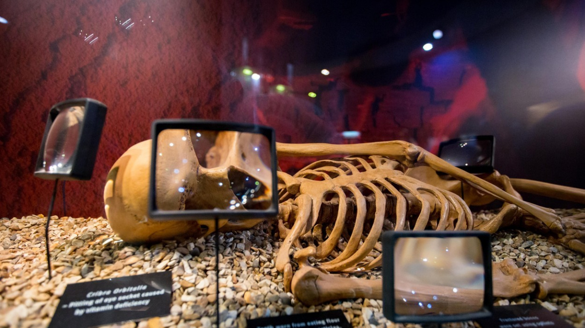 Irský král se narodil z incestu