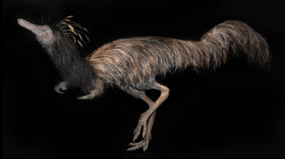 Bizarní dinosaurus z prérie. Pojmenovali ho kapitán Hook