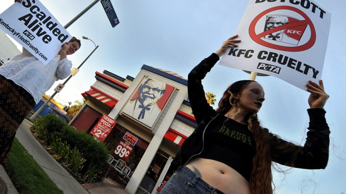 KFC vytiskne kuře na 3D tiskárně. Technologický pokrok, nebo úlet?