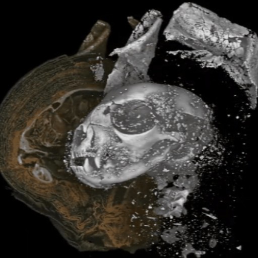 Badatelé digitálně rozbalili tajemné mumie zvířat