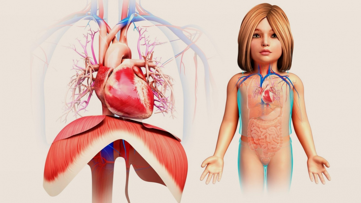 Covidem vyvolaný syndrom poškozuje srdce dětí, varuje studie