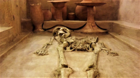 Harappan-Skeleton-Discovery-Rakhigarghi-Haryana-New-Delhi-India